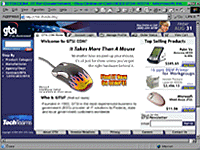 GTSI.com (e-commerce site/corporate portal) July 2001